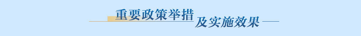 重要政策舉措及實施效果